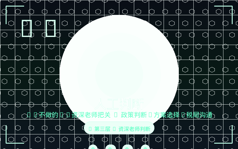 人工判断 — AI不做的：政策判断+方案选择+税局沟通，资深老师把关