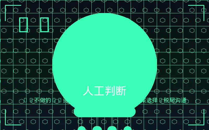 人工判断 -- AI不做的：政策判断+方案选择+税局沟通，资深老师把关